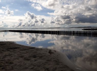 Waarom het hoog tijd is om te stoppen met de flinkste van de klas te zijn!