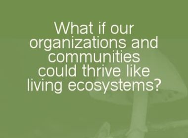 Projects as Practice Grounds for a More Thrivable World