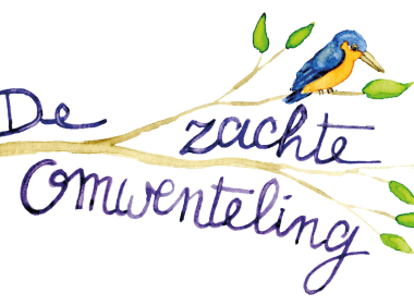 De Zachte Omwenteling, door Peter Metten (Try-Out)