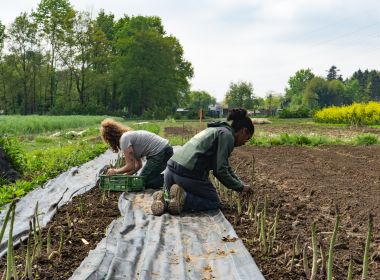 Het Goede Moment om jouw gemeenschap te laten floreren