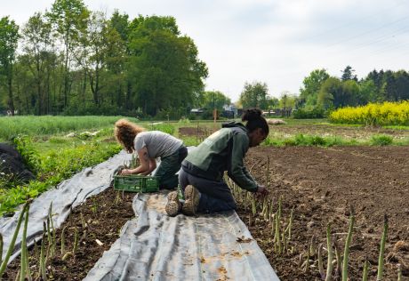 Het Goede Moment om jouw gemeenschap te laten floreren