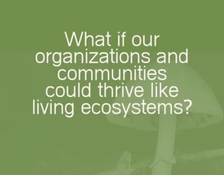 Projects as Practice Grounds for a More Thrivable World