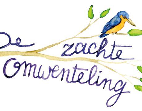 De Zachte Omwenteling, door Peter Metten (Try-Out)