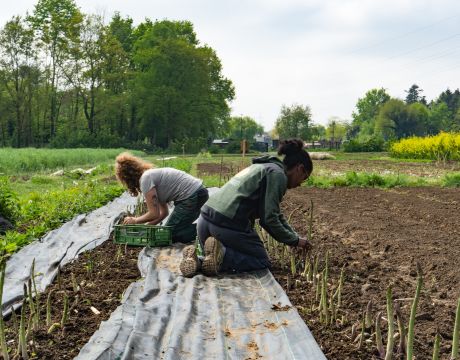 Het Goede Moment om jouw gemeenschap te laten floreren