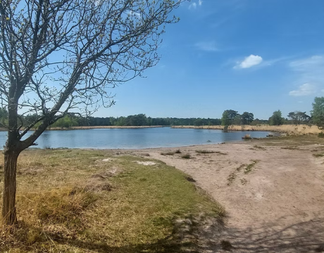 Wandel je mee?