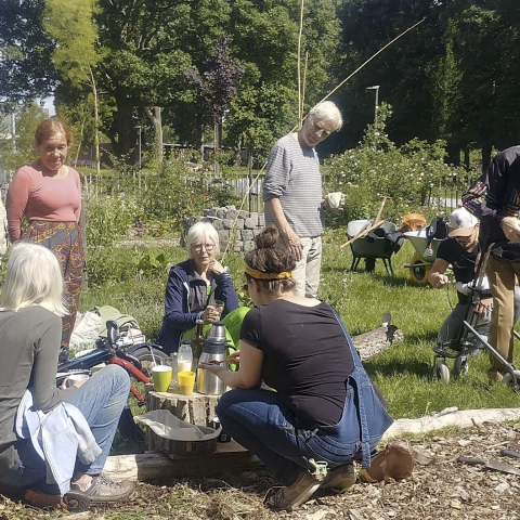 Transitie @Ekeren