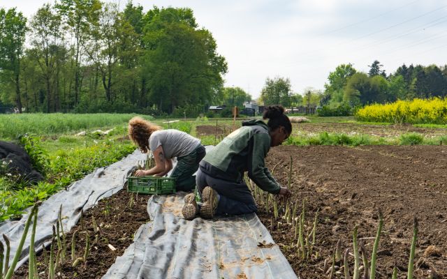 Het Goede Moment om jouw gemeenschap te laten floreren